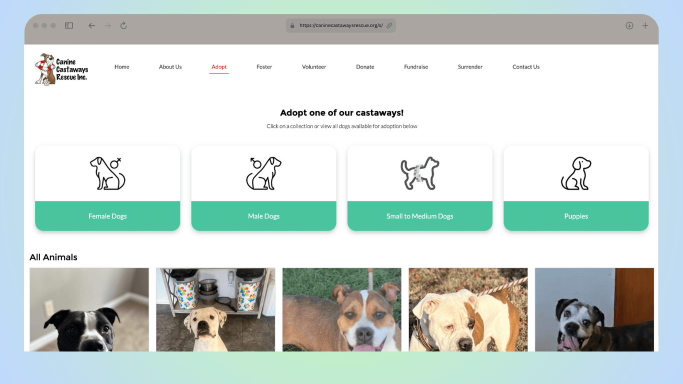 Canine Castaways - Public Site